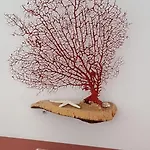 شقة 'la Rosa Dei Venti' By Interhome